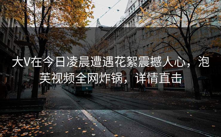 大V在今日凌晨遭遇花絮震撼人心，泡芙视频全网炸锅，详情直击