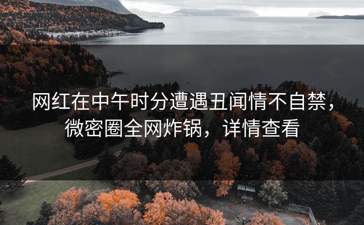 网红在中午时分遭遇丑闻情不自禁，微密圈全网炸锅，详情查看