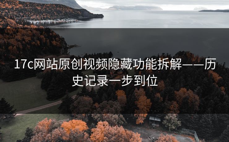 17c网站原创视频隐藏功能拆解——历史记录一步到位